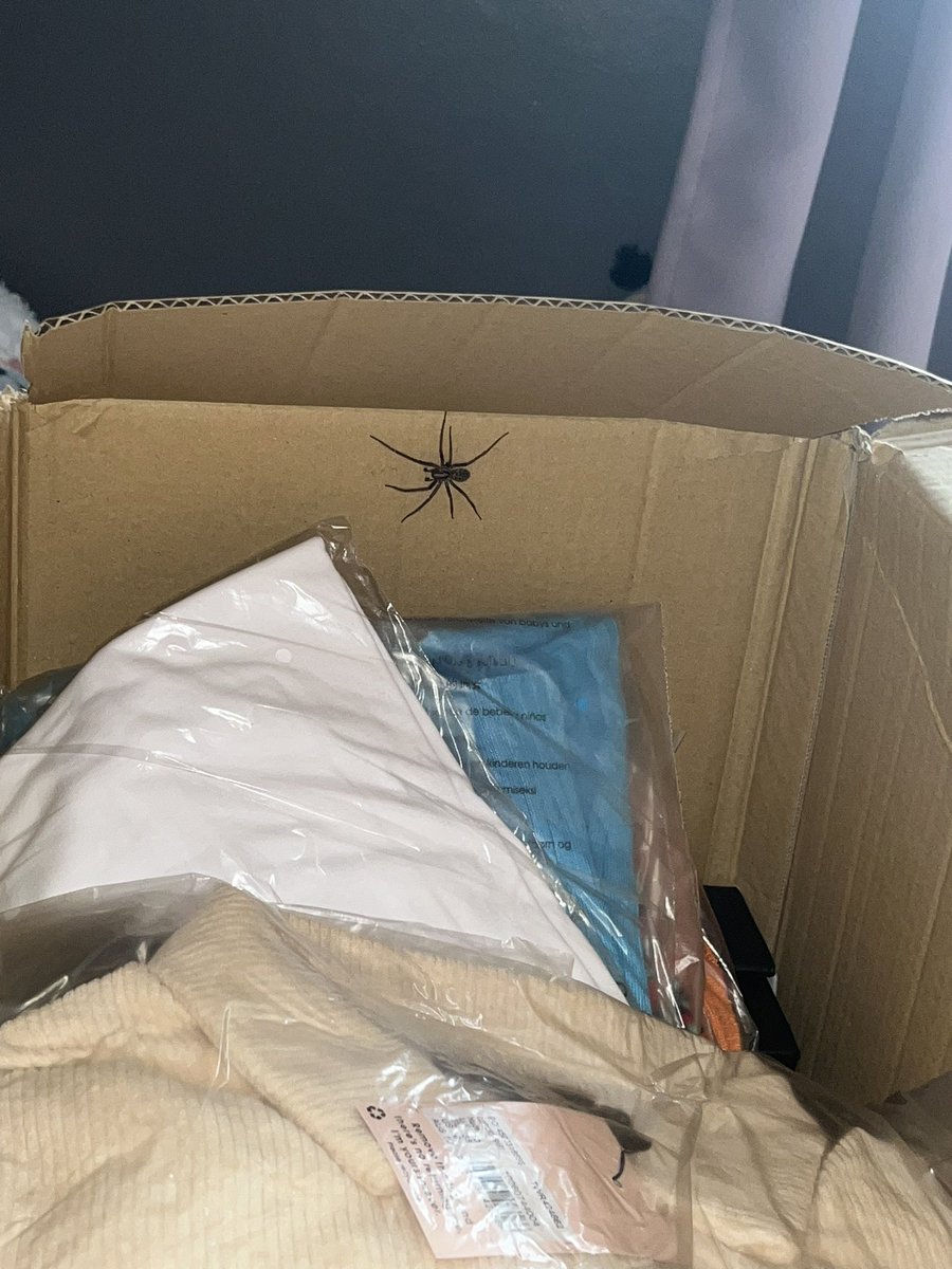 laurenmckay2001's tweet photo. Thanks for the friend within my parcel x @Missguided @Missguided_help https://t.co/Iy2AqTl40c