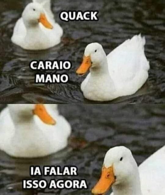 camillacosmic's tweet photo. Quack https://t.co/BdL7FC1BG6