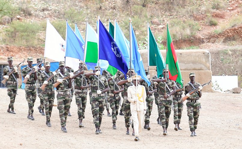 HarunMaruf's tweet photo. BREAKING: First official pictures of Somali soldiers who completed training in Eritrea meeting with president @HassanSMohamud. Photos by @hawelti https://t.co/w2c3XoAnyK