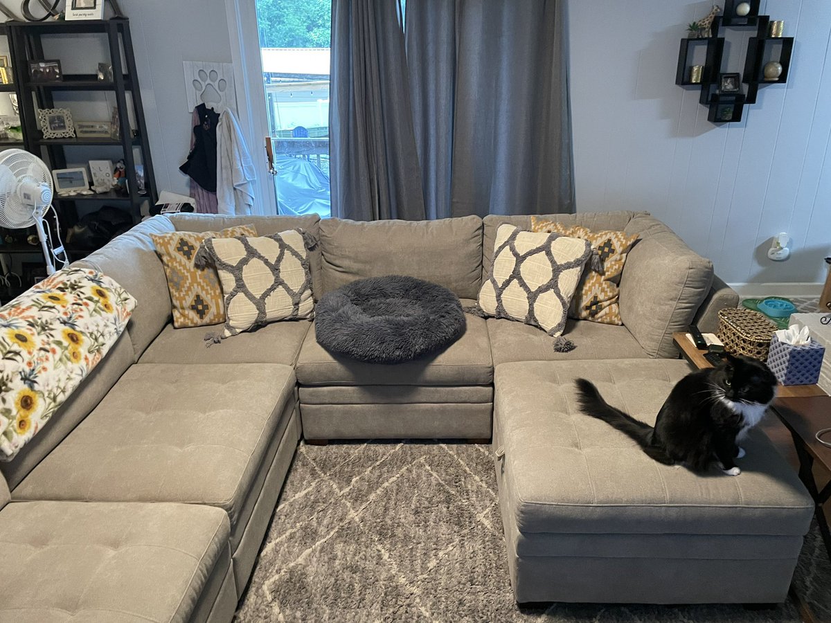 thedailykaily's tweet photo. #costcofind
Couch, got it on sale but currently at store. ~$1400. Comes in this gray and a darker gray. 6 pieces and can be rearranged.
White and gray throw pillows, $12.99. Good fluff and very cute with our gray couch. https://t.co/zStZmyz5gX