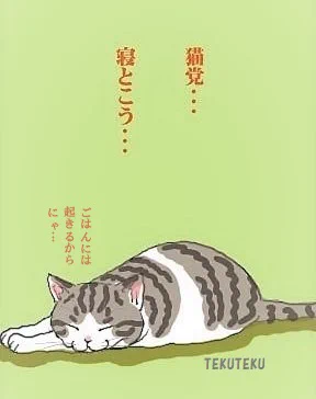 ではそろそろ…(=˘ω˘)スヤァ 