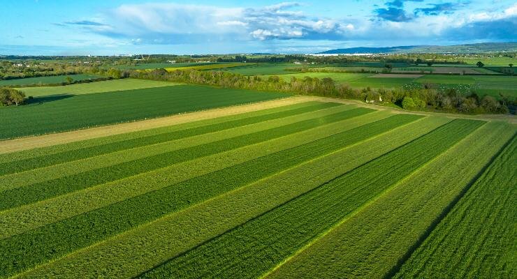 This field has been busy this year, huge congratulations to Ger &amp; Stephen for hosting the charity sheepdog trial today for @CMRF_Crumlin, a super day, although a little 🥵 for man and dog, &amp; <a href="/Kerry_Official/">Kerry GAA</a> rounded off the day too 😂