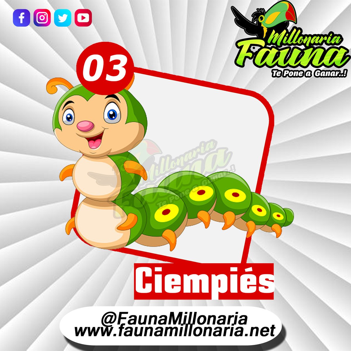 Fauna Millonaria 
Fecha 10/07/2022 
Hora : 12:30 Pm 
03 Ciempies
Telegram - t.me/minifauna                    
Web : faunavzla.net