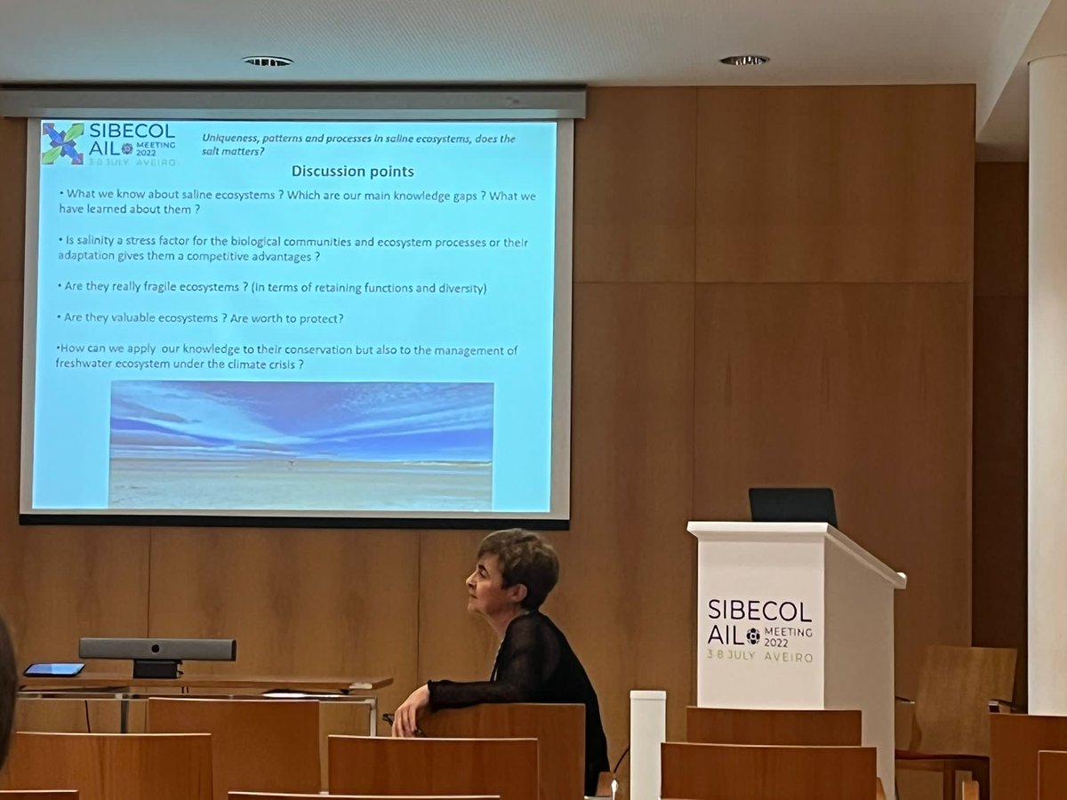 DryHarshSal tweet media