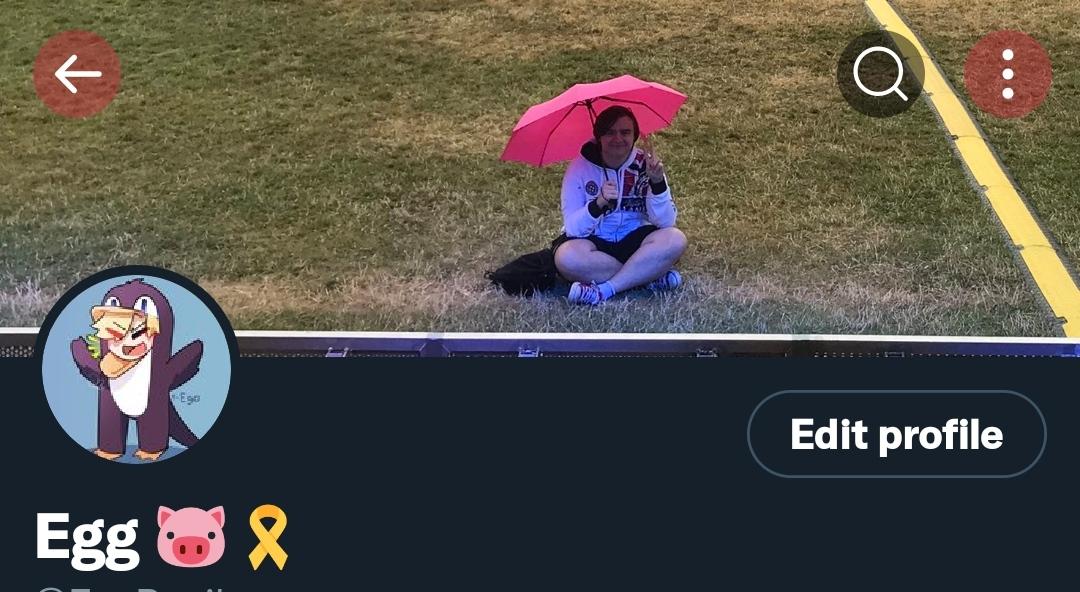 Ego tweet media