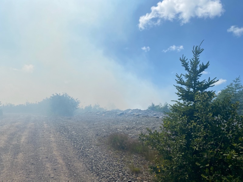 📢Placentia RCMP asks the public to stay away from the Argentia Line area of Placentia Junction while police and firefighters respond to a brush fire.📢