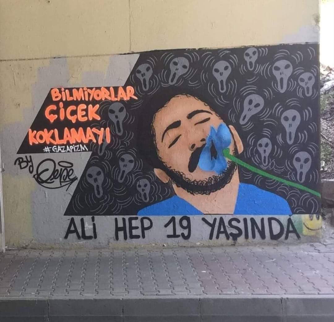 Orhan tweet media
