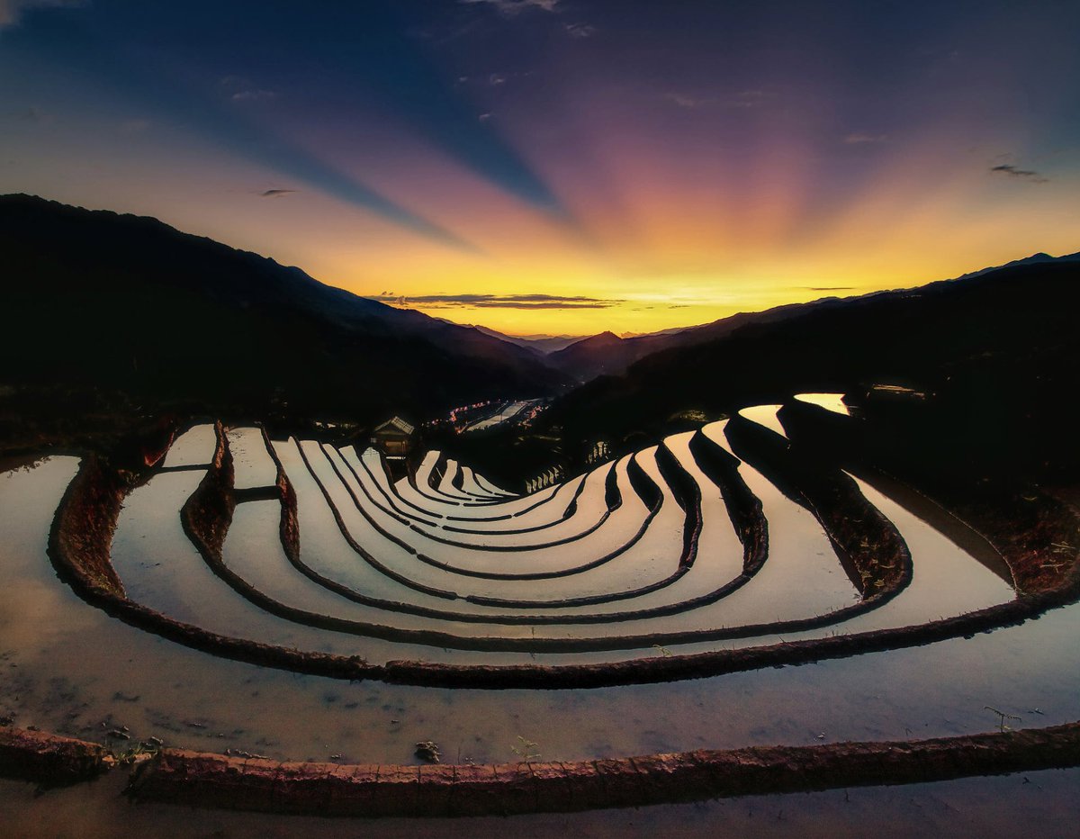 Nature Space (@naturespace_) on Twitter photo 