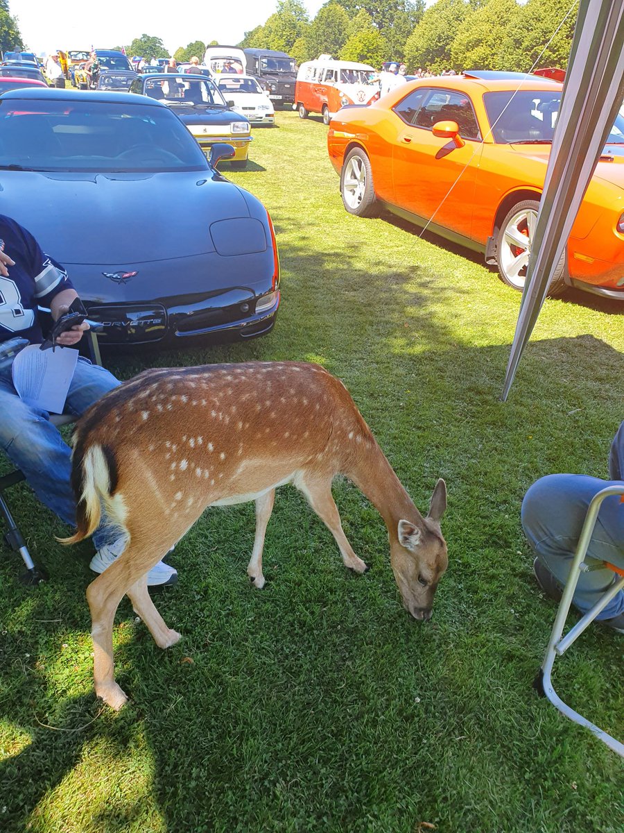 LukacsWinn's tweet photo. At a car show today and John turned up....... https://t.co/FBdTyQakIv