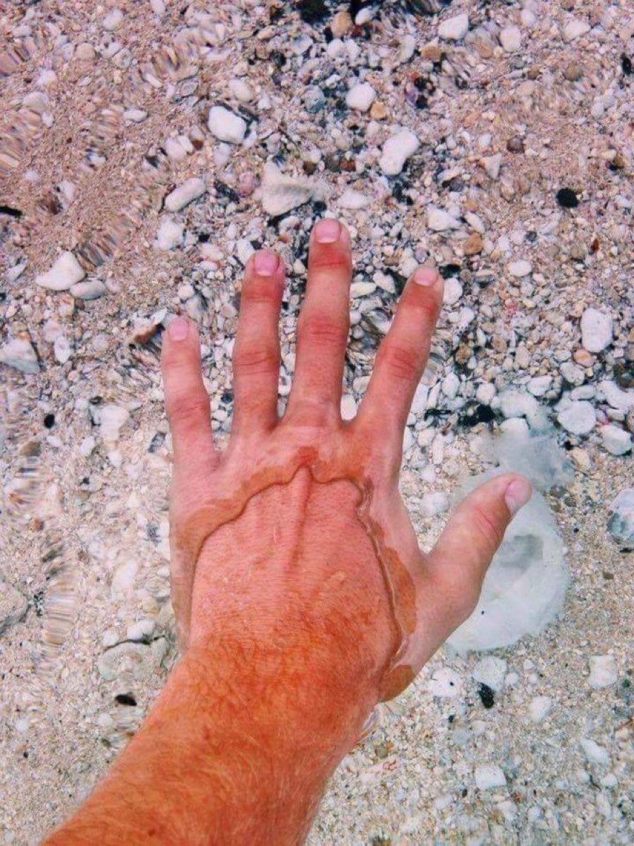 lake erie, the clearest water on earth