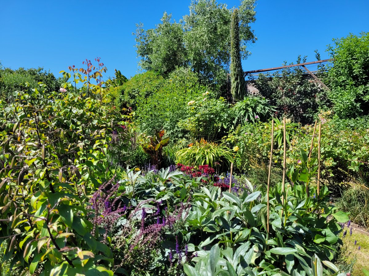 LucieMR's tweet photo. Visited the beautiful #SwafieldHall gardens with my parents this afternoon @NGSOpenGardens @ngsnorfolk https://t.co/FeYa5kobL7