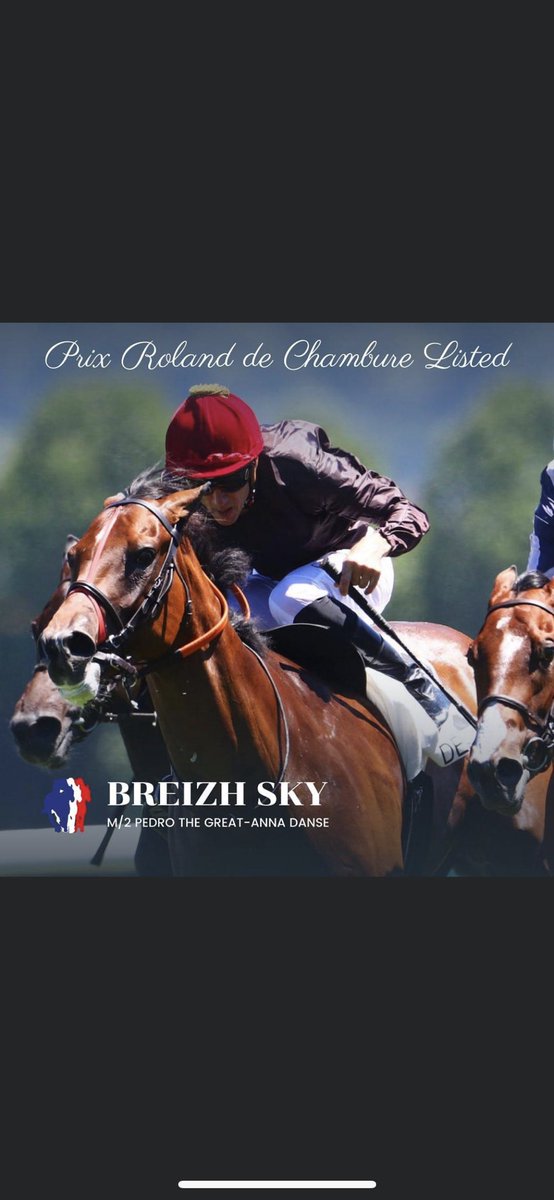 Maeva Campergue NEUROMIRROR tweet media