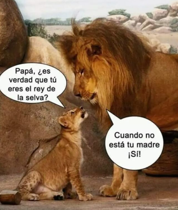 De10Sports's tweet photo. #HumorDe10 ππ El marinero obedece a la capitana π https://t.co/rCrkhzXw0d