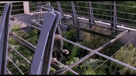 Lunch protocols in the alternate paddock at #GC80