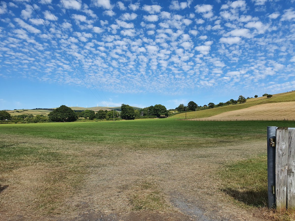 Diolch yn fawr iawn <a href="/BrysgagaWBC/">BrysgagaWBC</a> am gael defnyddio'r cae eleni eto - cwbl allweddol i lwyddiant Gwyl Bêl-droed Ieuenctid <a href="/BowStreetFC/">Bow Street FC</a> Y cae yn glir ac yn barod i'w bori.