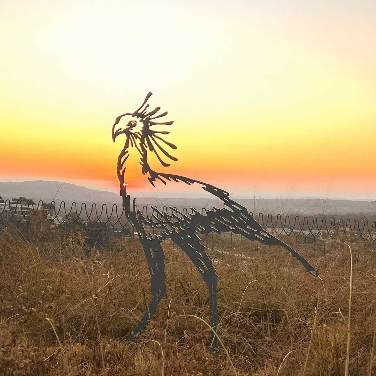 delaneyartist's tweet photo. New…. Secretary Bird sculpture, against a golden Joburg winter sunset https://t.co/shUGMCqDer