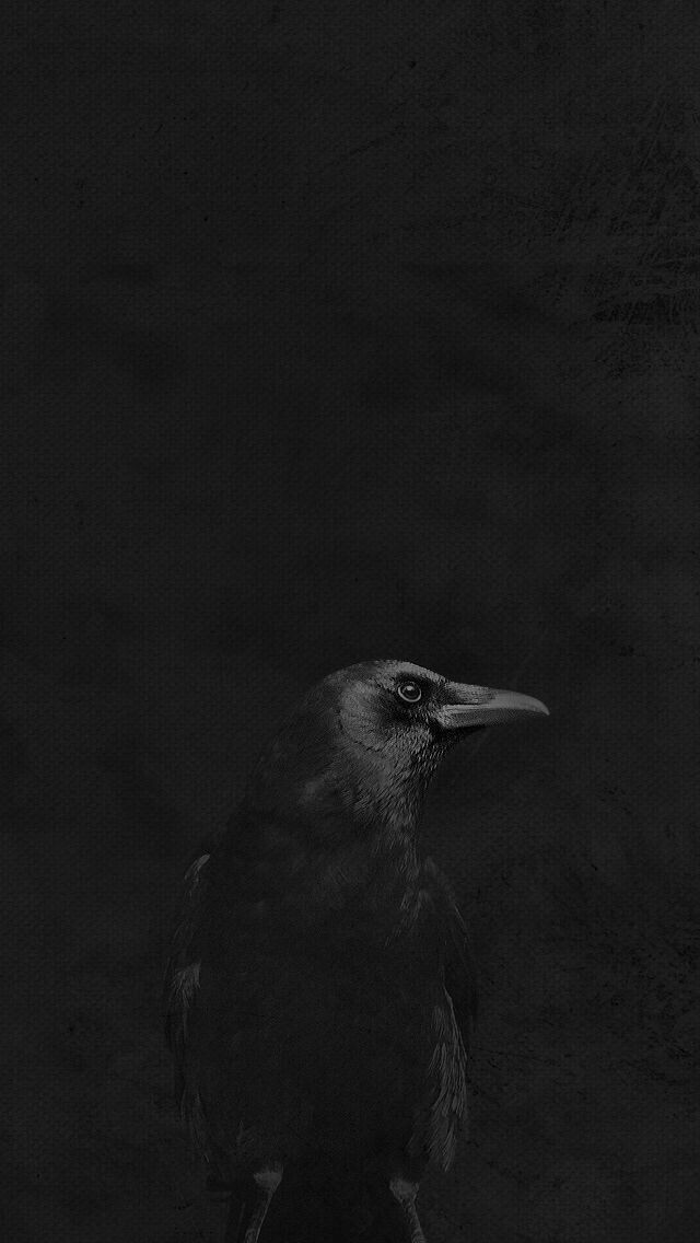 Amigdalaintesta's tweet photo. #blackisblack https://t.co/DHE15xPEyx