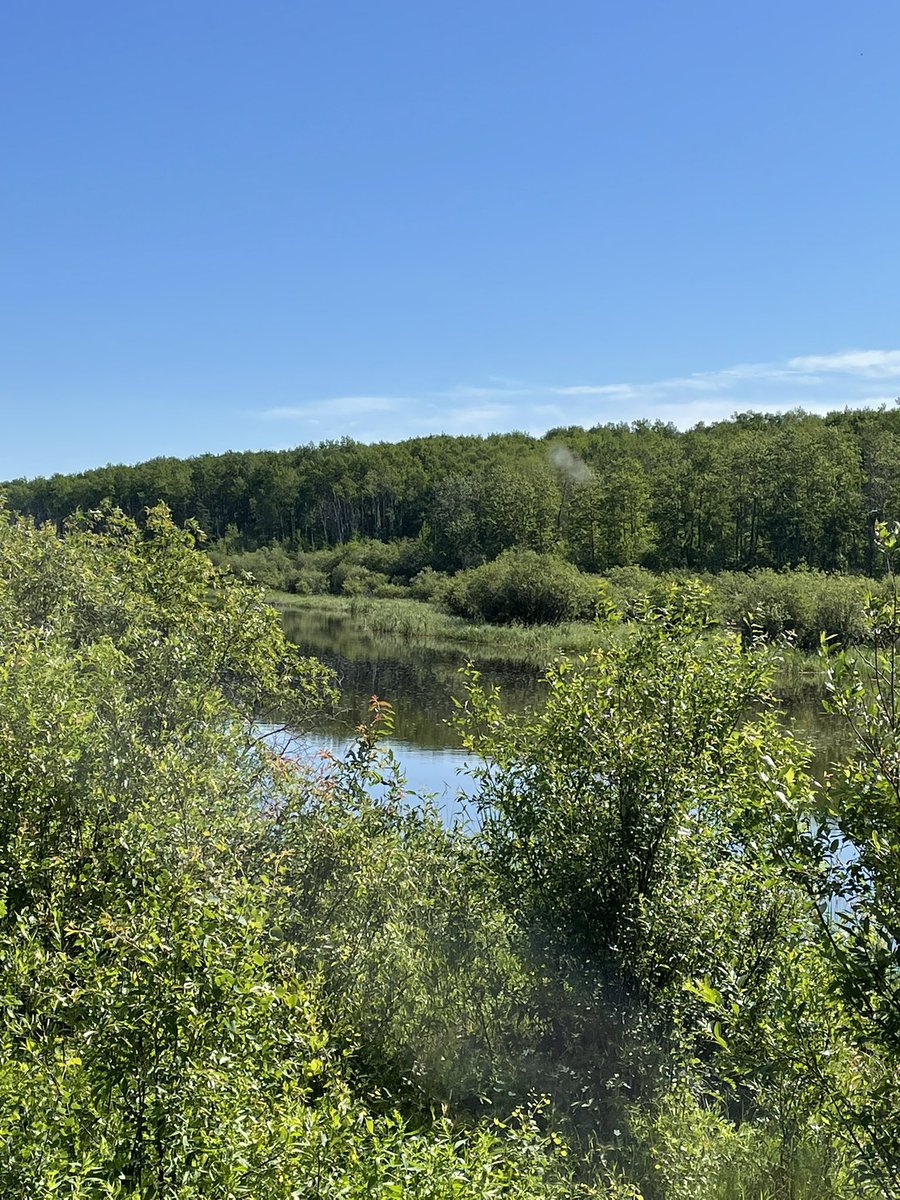 These old dirt trails lead to some pretty country