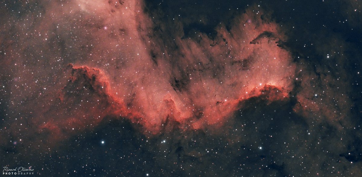 ricard_oliveras's tweet photo. Detalls de la Cygnus Wall dins #NGC7000. 
Primera nit amb la nova ASI294mc i filtre de banda estreta. Ben perdut amb el gain i la temperatura, però amb ampglow eliminat😅  #Astrophotography 
🔭 Evostar 100ED +0.85x
📸 ASI294mc Pro 
25 x 600s
Optolong L-eXtreme 2" https://t.co/nfxlp0kELt