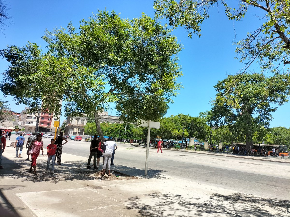 Anaylin99's tweet photo. Desde el corazón de #LaHabana,♥️ el típico ajetreo de domingo🌤️ se complementa con la paz ciudadana que mucho han pretendido quitarnos.
#CubaPorLaPaz 🇨🇺 https://t.co/pdYp1vBpCC
