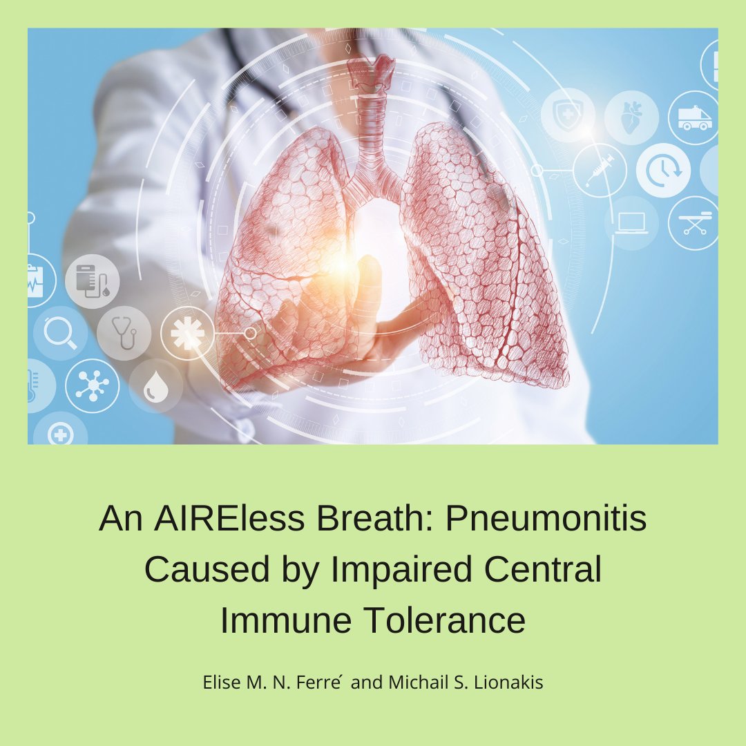 APSType1's tweet image. From our NIH study team, check out this article highlighting the progress they’ve made diagnosing and treating #APECED #pneumonitis. ncbi.nlm.nih.gov/pmc/articles/P…
