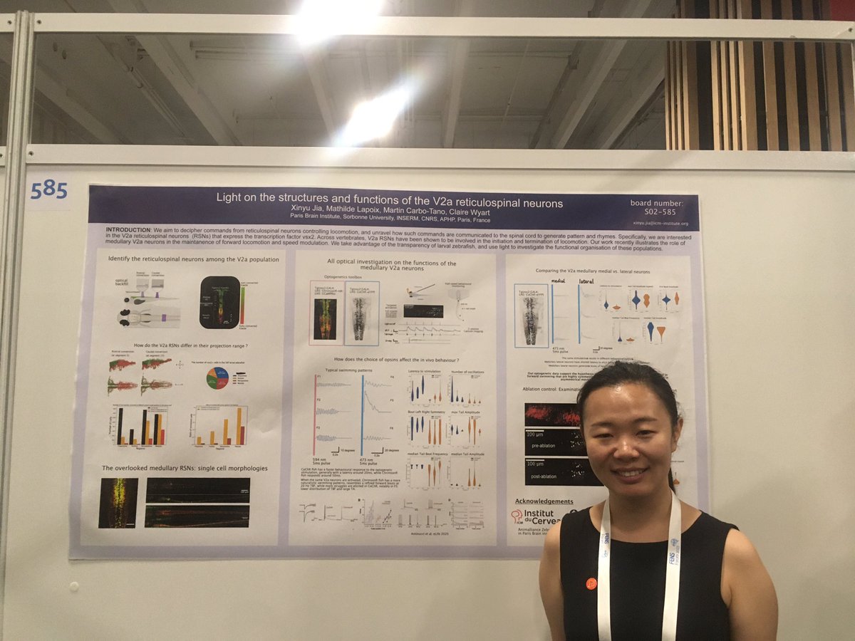 zenith_etn's tweet photo. Zenith posters of the day! #FENS2022 @FENSorg 😌👏🎉 https://t.co/Fd3Xa2IJZG