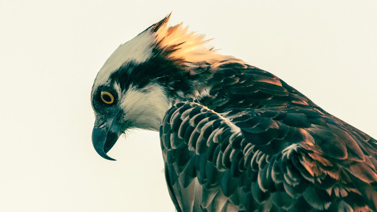 destructo's tweet image. Happy birthday @marcrileydj always good to hear familiar voice in warmer latitudes ~ roots to branches connected &amp;gt; love from tranquility base, California +