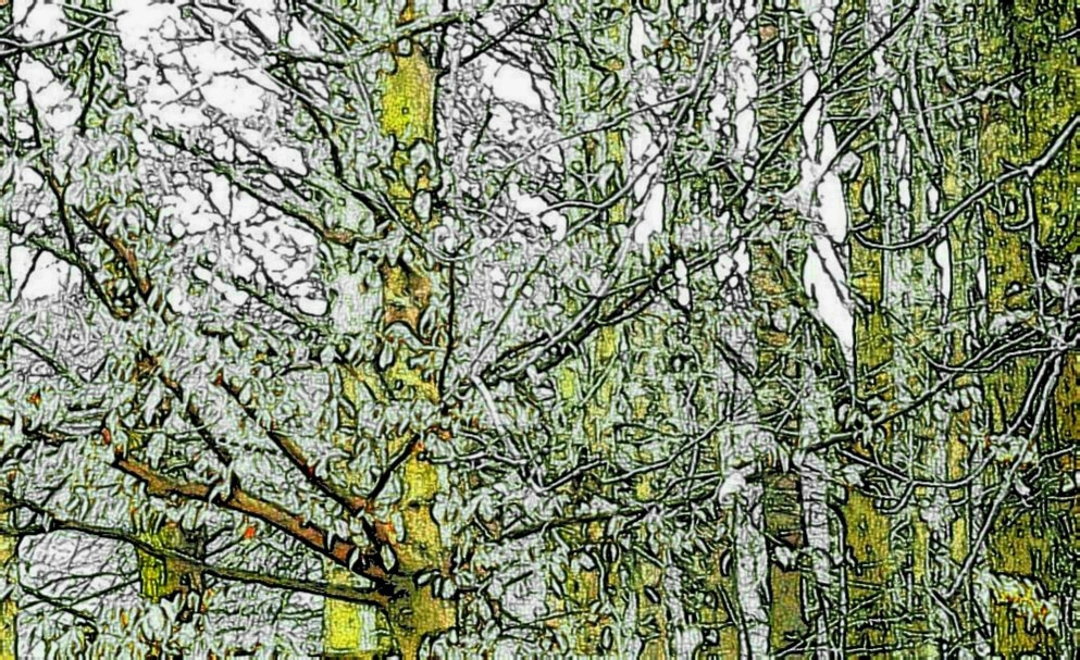 brancuzzi's tweet photo. Into the woods: abstraction
#art #artwork #genuineart #trueart #digitalart #nft #nftart #opensea #openseaart
Buy the NFT on OpenSea - link in bio https://t.co/rYMw9k5ncx