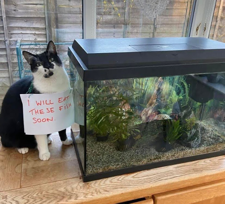 handcsams's tweet photo. This is Moses. Mo to his friends.
Mo is planning ahead and living his best life.
Mo is smart.
Be like Mo. ππββ¬πΊ
@samaritans #BelikeMo https://t.co/KX0hYuEHrB