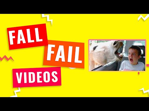 smilewikiblog's tweet image. TRY NOT TO LAUGH   Fail Compilation - Funny Fails 2022 | #funnyvideos  | #failsoftheweek | #fail - smile.wiki/best-fails/try… - img.youtube.com/vi/nUq_cejFCtE… - 

     (adsbygoogle = window.adsbygoogle || []).push();

Welcome to Trendy BOT, I make meme ...