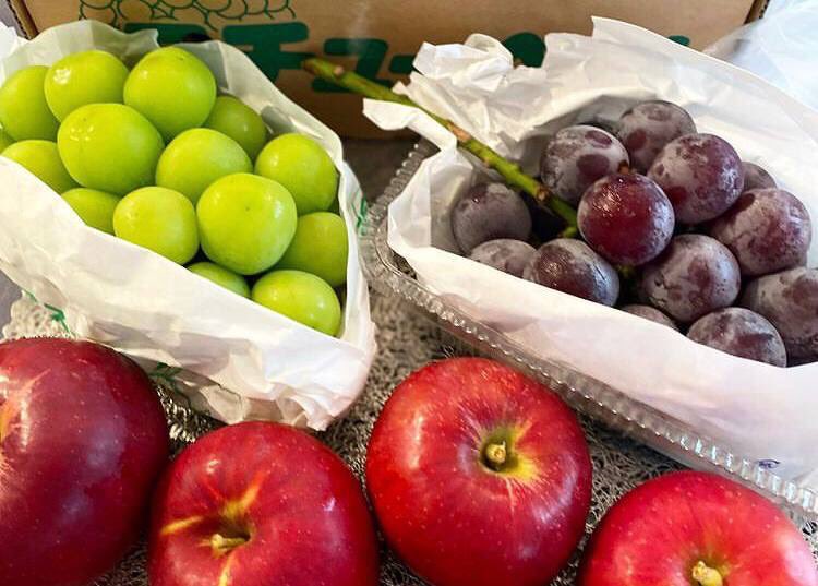 Majkeee's tweet photo. Colorful fruits provide different vitamins.

#color  #vitamins  #fruit https://t.co/PeDlD6Rds4