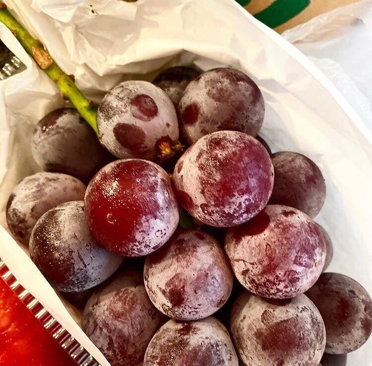 Majkeee's tweet photo. Colorful fruits provide different vitamins.

#color  #vitamins  #fruit https://t.co/PeDlD6Rds4