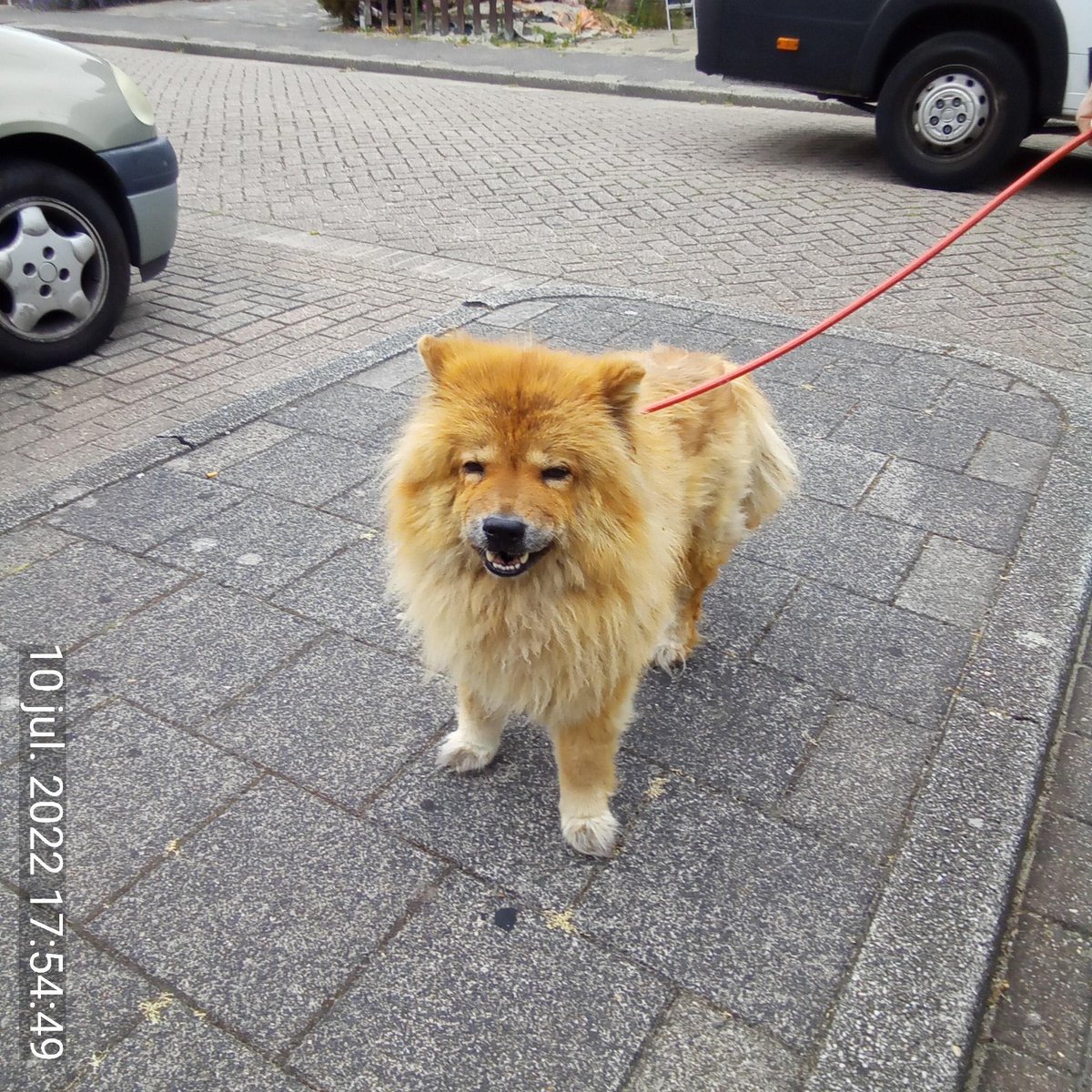 DierenAmsterdam tweet picture