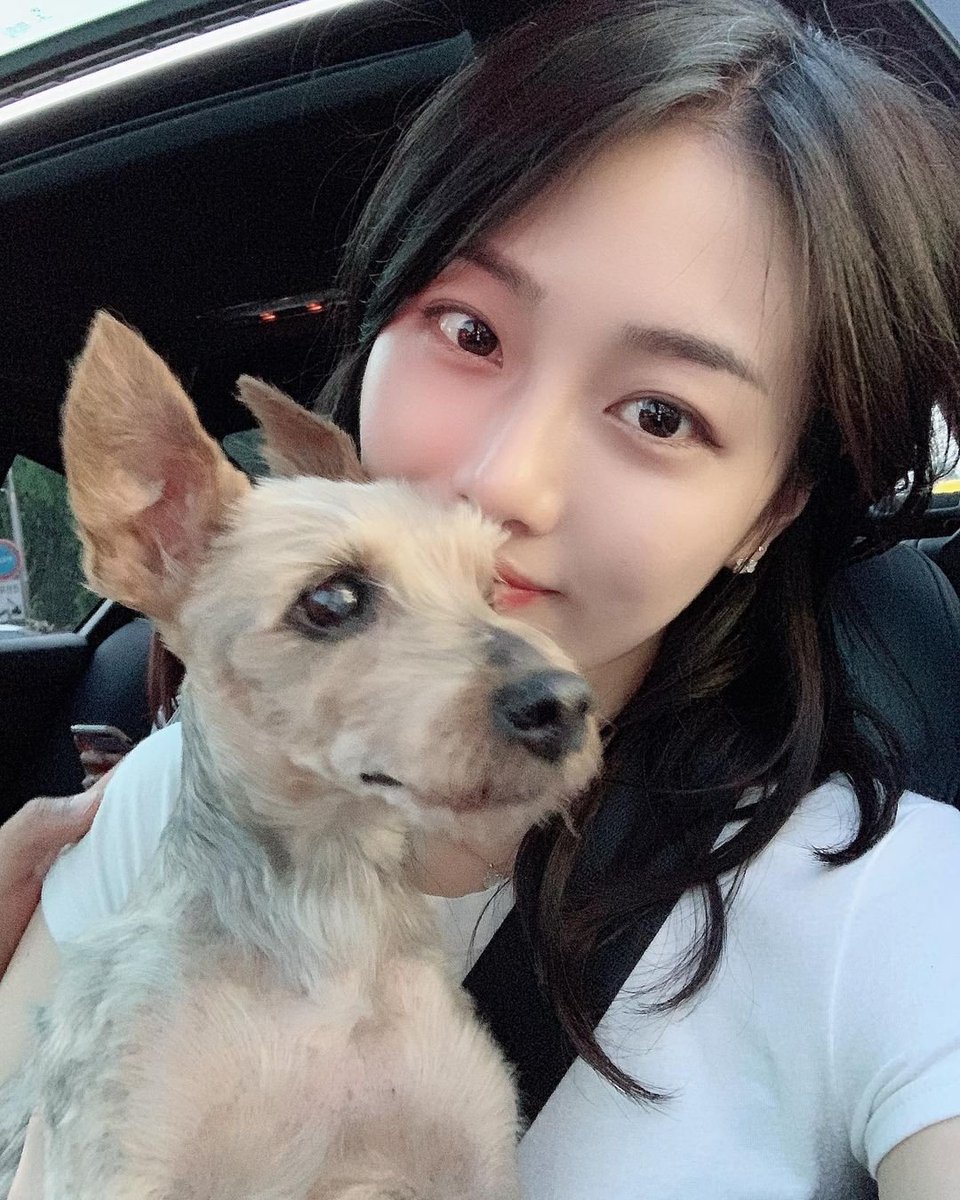 linsaa_92's tweet photo. Suddenly I miss my dog #dogs #Dog https://t.co/XdfwjNa08p