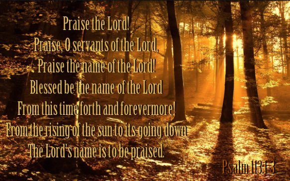 lanewilliams133's tweet photo. Praise the LORD Who Alone is Worthy of All Praise!
Blessed Be the Name of the LORD from this time forth and forevermore! 🙌🏾🙌🏾🙌🏾🙌🏾🙌🏾🙌🏾🙌🏾🙌🏾🙌🏾🙌🏾🙌🏾🙌🏾🙌🏾🙌🏾🙌🏾🙌🏾🙌🏾 https://t.co/m0juzAe985
