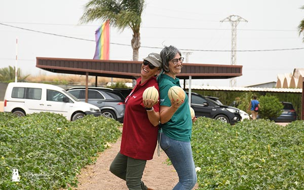 elAgroAutentico's tweet photo. 🆕#BASF despliega en su #campo de #melón de #Murcia una batería de colores, sabores y texturas para seducir al consumidor y abrir nuevos mercados 🍈😋

Te lo contamos con todo detalle ✍️
➡️ https://t.co/ulgAiSHIn3

#BEFE2022 #Nunhems @PakoBayo #agricultura https://t.co/tttG7pv5Hu