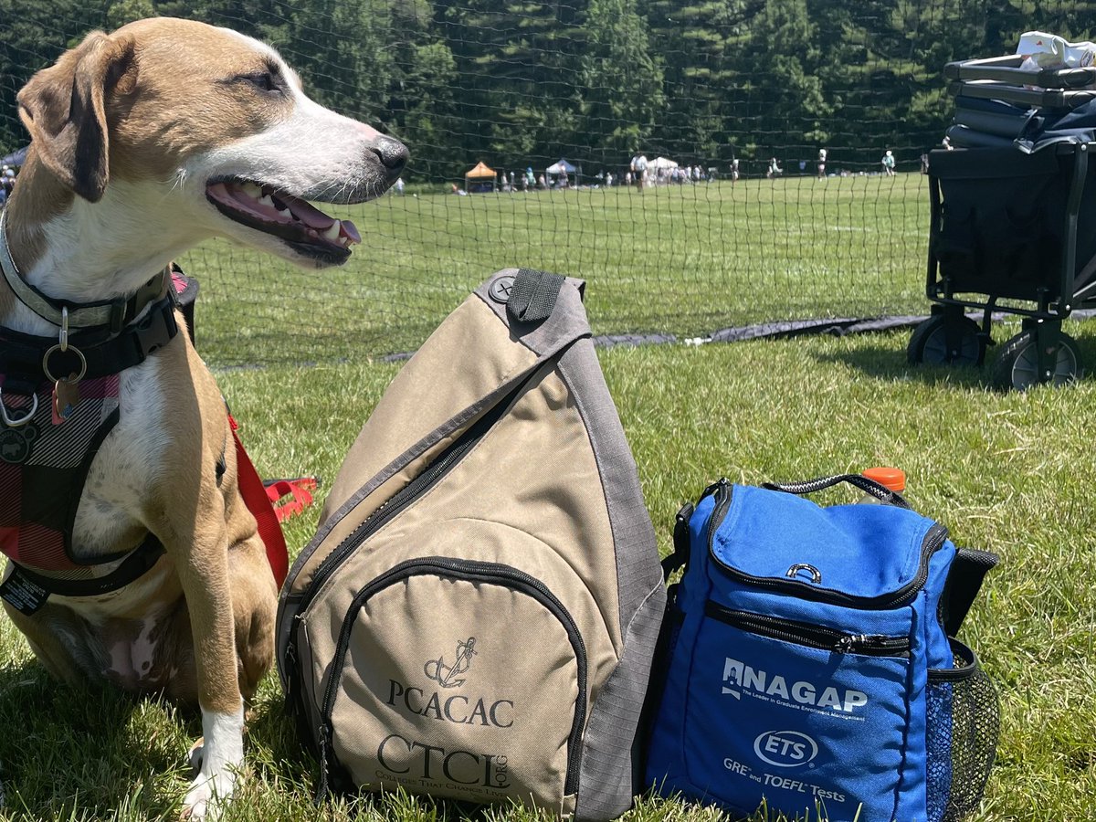 Mark Cunningham tweet media