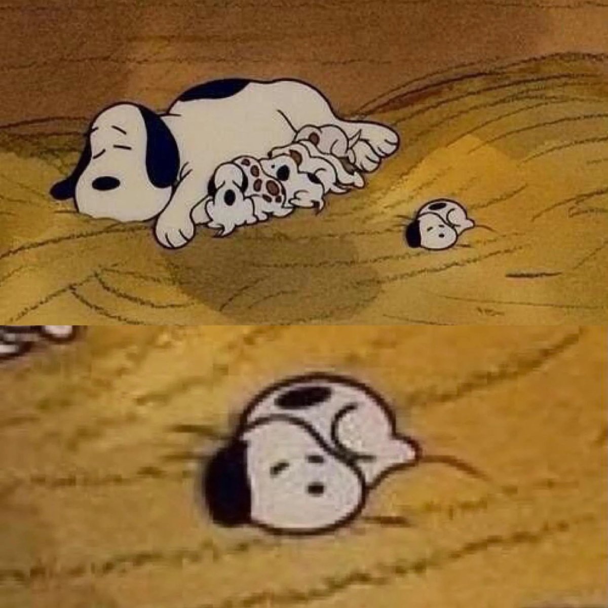 SorryMomDotGov's tweet photo. Baby snoopy moves me to tears https://t.co/5jEl01r8zr