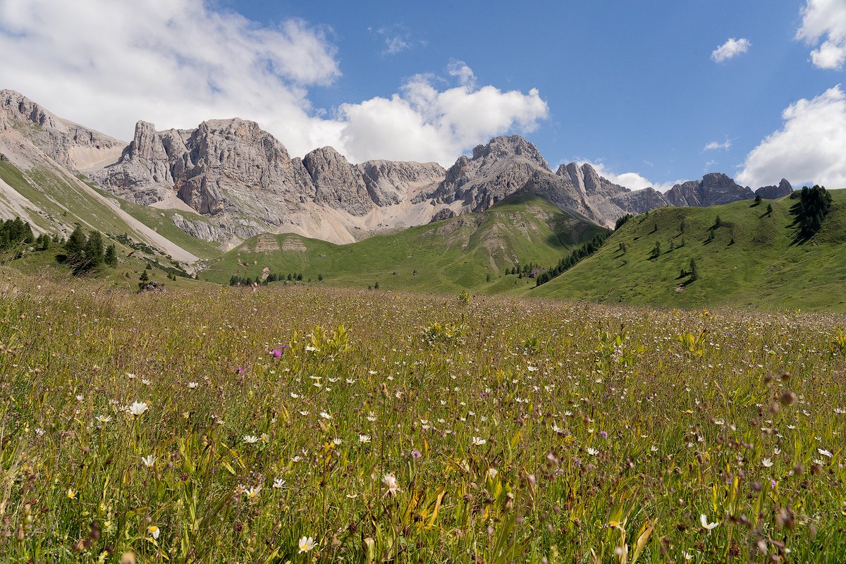 Happy place! 😍 #TrentinoWow

📸 Passo San Pellegrino
