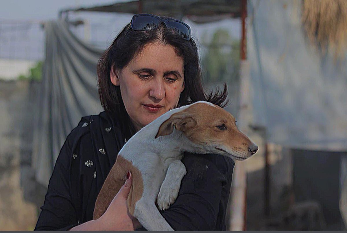 I love all animals but those of Pakistan are most close to my heart. Anything I say and do is to help the forgotten animals/dogs of Pakistan. They truly are amongst the most  abused &amp; mistreated in the world. Will you help me to be their voice? Please follow <a href="/tws_pk2/">TWS</a> &amp; @osha_paws