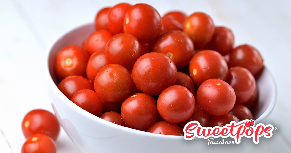 ShopRedSun's tweet photo. Have you had the chance to try our #Sweetpops? Our little sweeter-than-sweet tomato is the ultimate snacking #treat, for kids and adults alike!
#redsunfarms #sweet #tomatoes #yummy https://t.co/TFYroMCk05