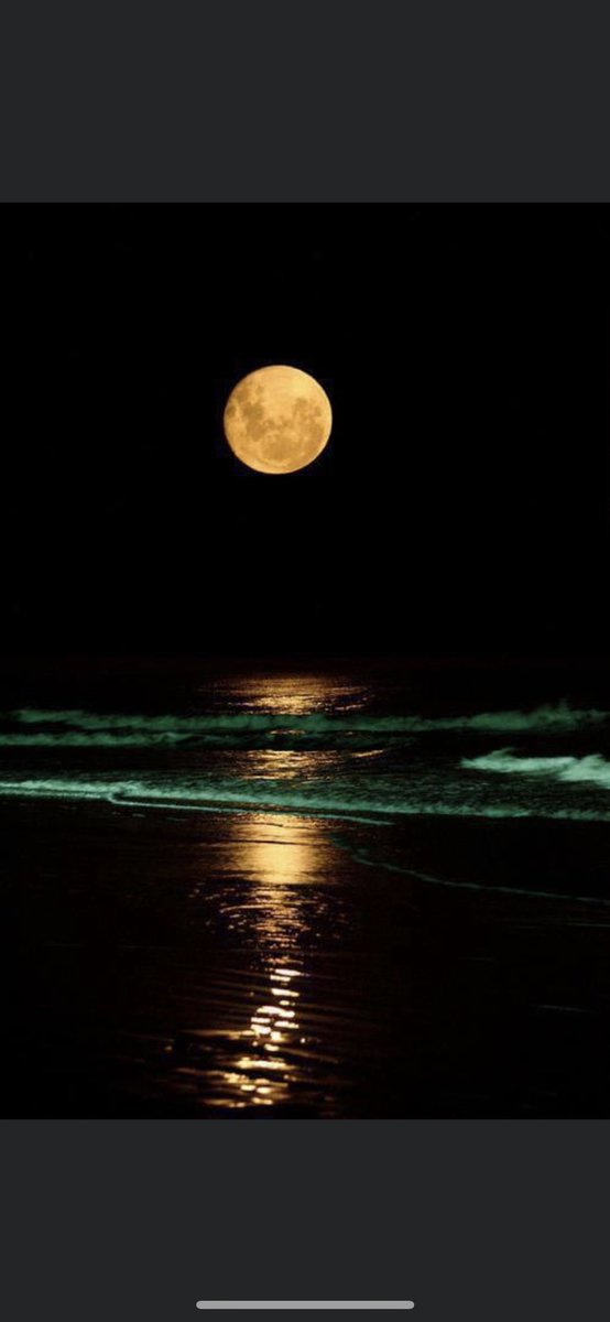 giada fontana 🐬 (@hooponopono50) on Twitter photo 