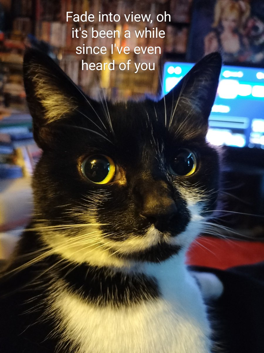 Walter Peck 👑 tweet media