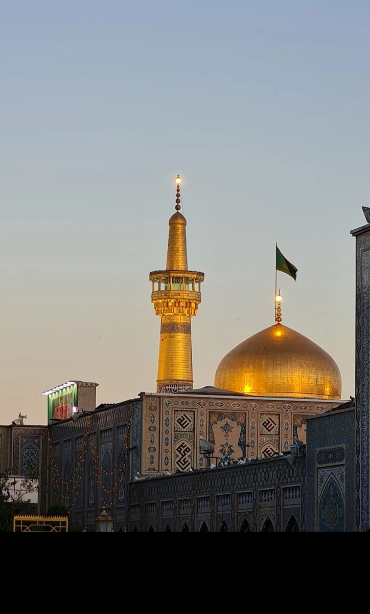 borzo_khan's tweet photo. چقدر دلم براتون تنگ شده بود آقاجان 🥺
سلطان به سلامت بادا ♥️💚 https://t.co/6gztR0pIqz