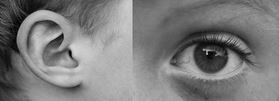 arnzen's tweet photo. Attn #SHUFLASH22 The next "Prompt of the Week" (on crafting imagery in flash fiction) has been posted to our Canvas page... have at it!
And guess what? You've made it past midterms -- congratulations! https://t.co/UiTbFYRb2D