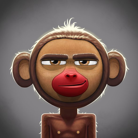 grahambo36's tweet photo. @evanrapoport @OnChainMonkey Either I found the “sitter” for the naked monkeys, or this is a sneak peak of a K3. You decide.
#MonkeyAndMe
@OnChainMonkey https://t.co/DtsASsgTmo