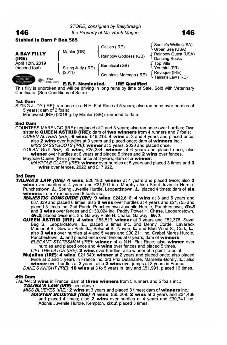 ReahMagee1's tweet photo. Lot 146 Smart 3yr old Filly.
Mahler ex Sizing Judy 
Sells on Wednesday day 1 off the @tatts_ireland sale. 
Consigned by @ballybreagh https://t.co/h4e9qoxW9c