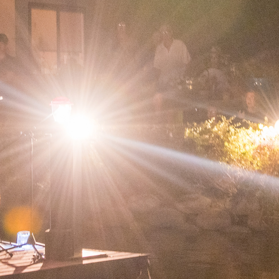 Flight of Voices tweet media