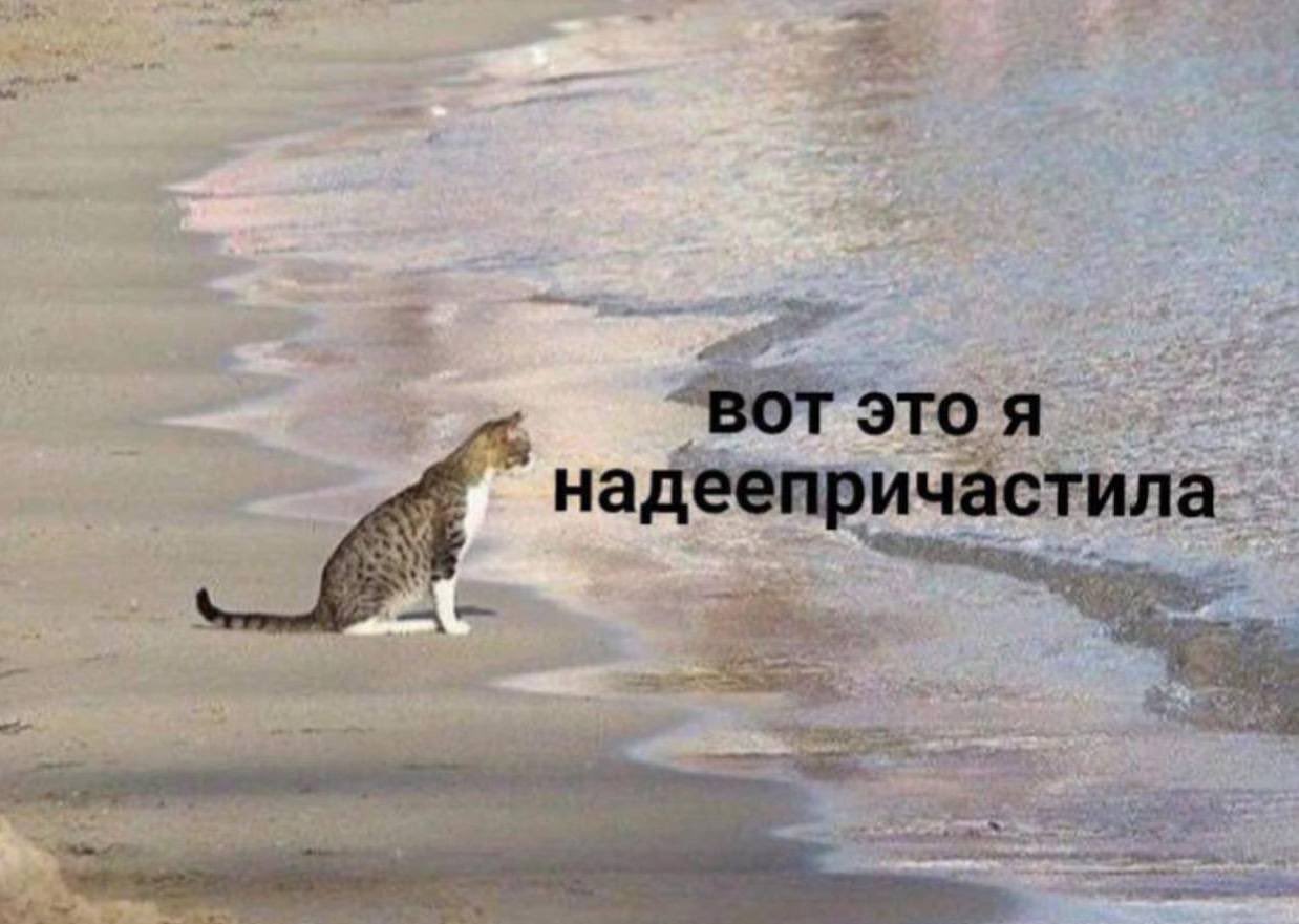 https://pbs.twimg.com/media/FXV2XCoXEAAmm4x.jpg:large