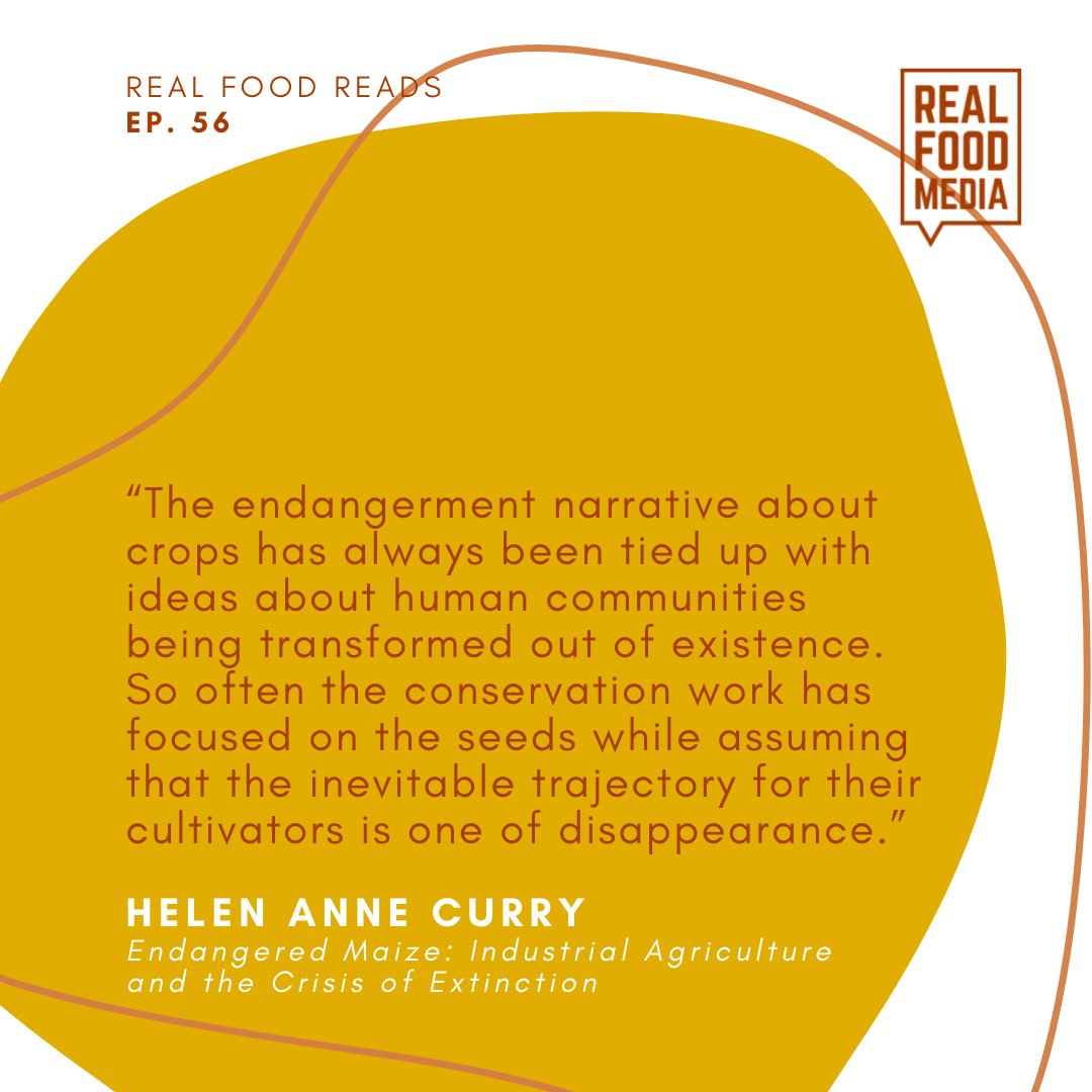 realfoodmedia's tweet photo. In the work of conserving seeds, why assume that the cultures &amp; people will disappear? And what happens when we reframe the narratives around conservation?  Check out the latest #RealFoodReads episode feat. “Endangered Maize” author @hacurry
https://t.co/Nnu2DQRzWZ https://t.co/zeLshDpEaA